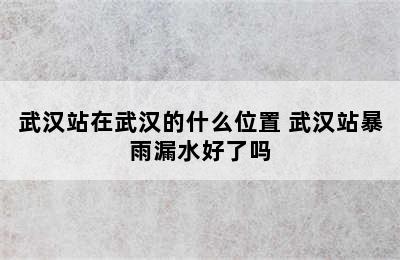 武汉站在武汉的什么位置 武汉站暴雨漏水好了吗